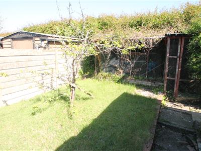 Picture 18
